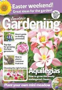 Amateur Gardening