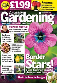 Amateur Gardening