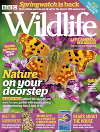 BBC Wildlife