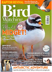 bird watching