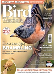 Bird Watching