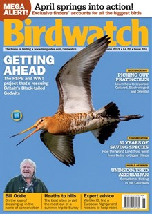 Birdwatch Magazine Subscription UK Offer