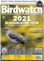 Birdwatch