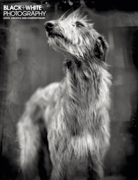 Black and White Photography