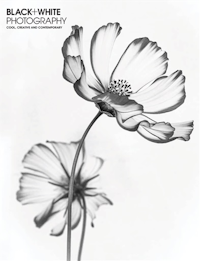 Black and White Photography