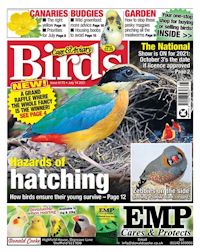 Cage & Aviary Birds