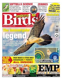 Cage & Aviary Birds