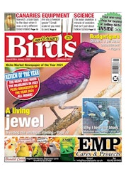 Cage & Aviary Birds