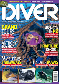 Diver