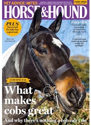 Horse & Hound