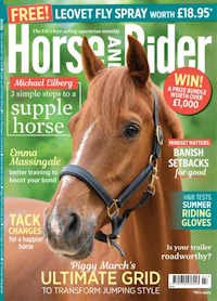 Horse and Rider