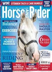 horse and rider