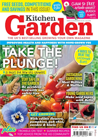 Kitchen Garden