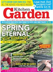 Kitchen Garden
