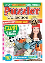 Puzzler Collection