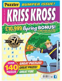 Puzzler Kriss Kross