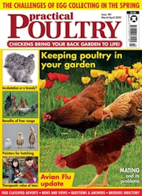 Practical Poultry