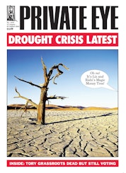 Private Eye Magazine Subscription