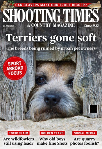 Shooting Times Magazine Subscription UK Offer