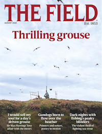 The Field