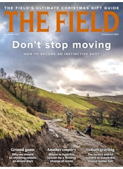 the field