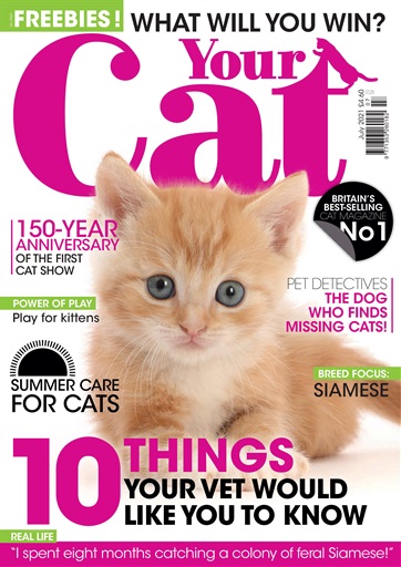 Your Cat Magazine Subscription UK Offer
