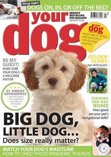 Pets Magazine Subscription Offer (UK Only)