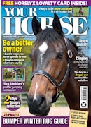 Your Horse