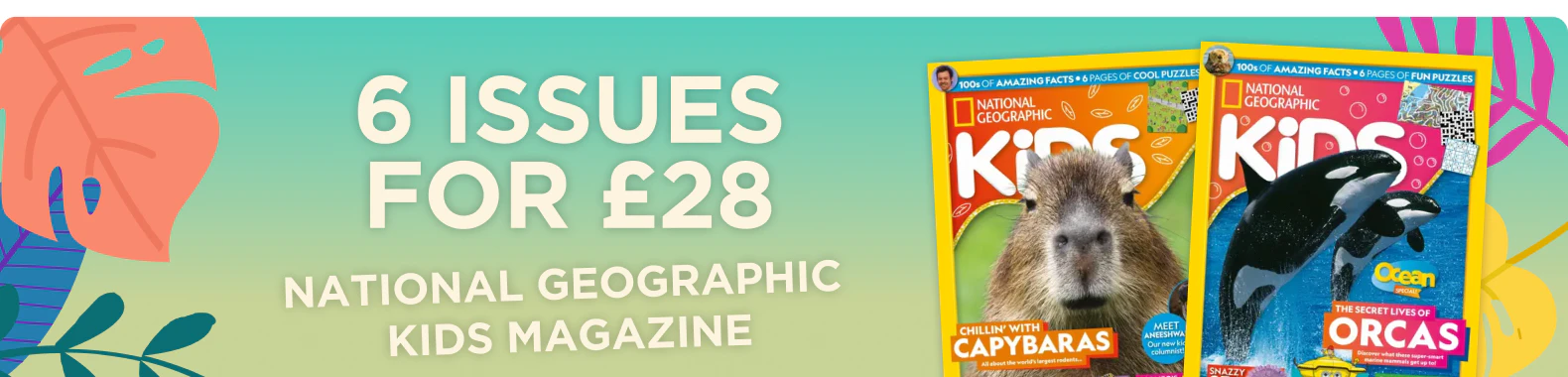 National Geographic Kids - Summer 2026