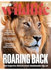 BBC Wildlife