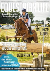 Equestrian Life
