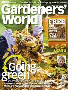 GW_Nov_cover