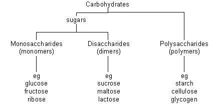 graph of fodmaps