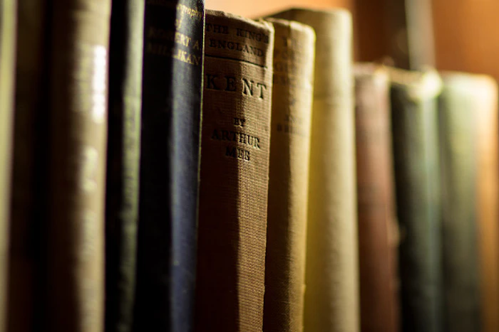 favourite-new-authors