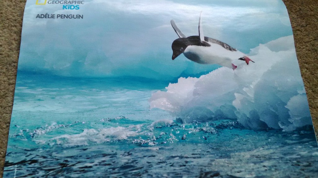 Poster of a penguin in National Geographic Kids