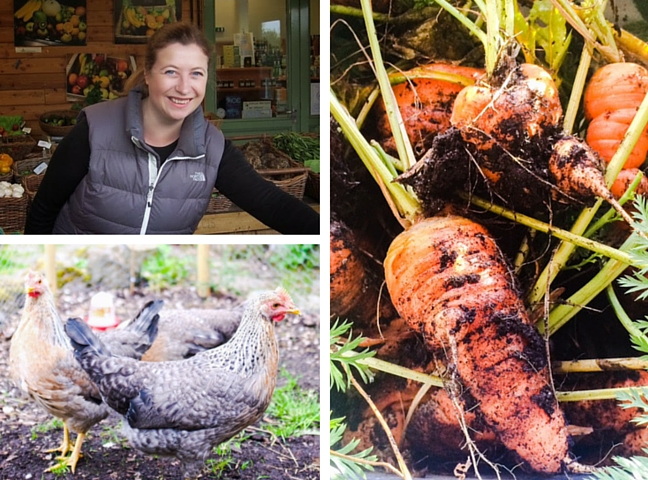 Nadine Pierce, A Pentland Garden