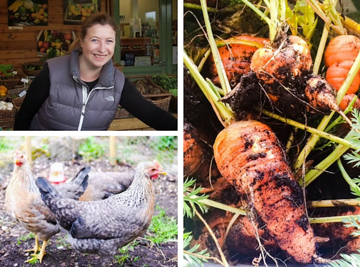 Nadine Pierce, A Pentland Garden