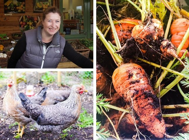 Nadine Pierce, A Pentland Garden