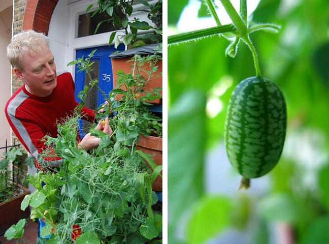 Mark Ridsdill Smith, garden blogger