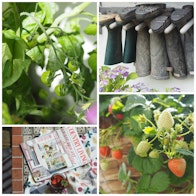 country living subscription magazine.co.uk