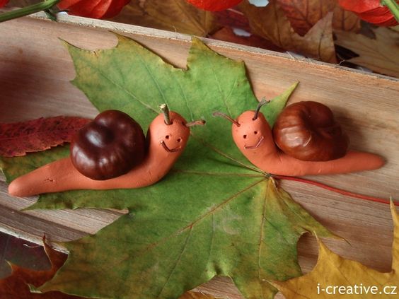 icreative conker snails