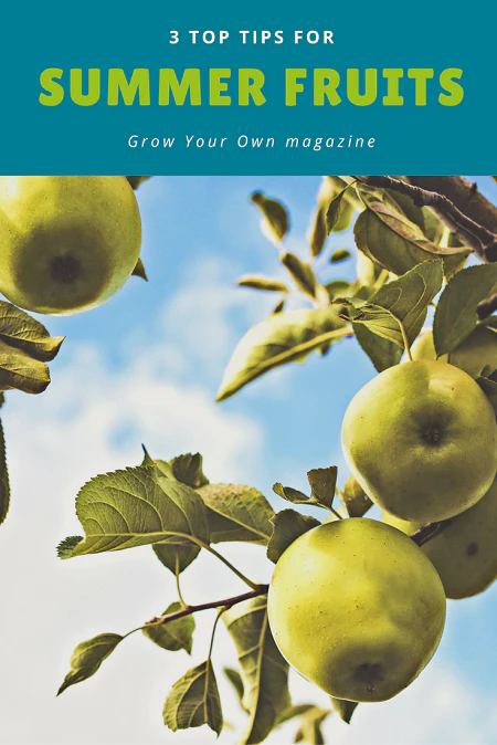 3 top tips for summer fruit | magazine.co.uk