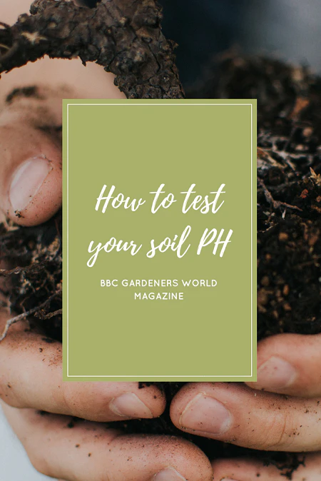 How to test your soil PH | magazine.co.uk
