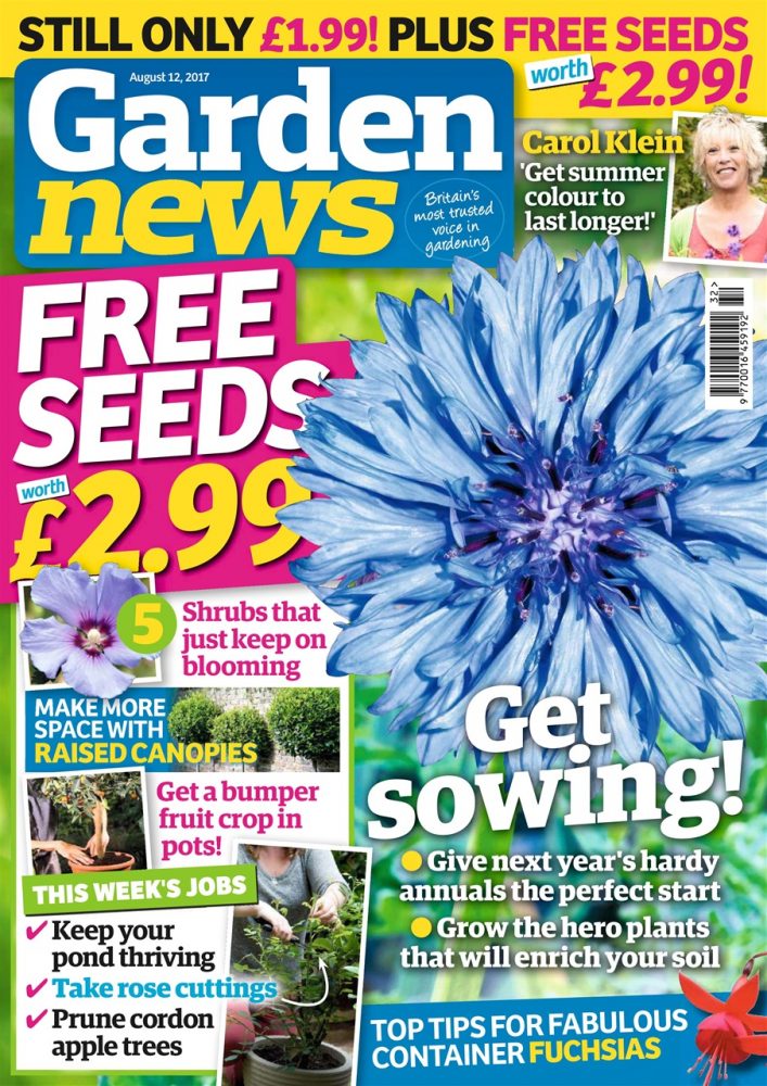 The 10 Best Gardening Magazines | Magazine.co.uk