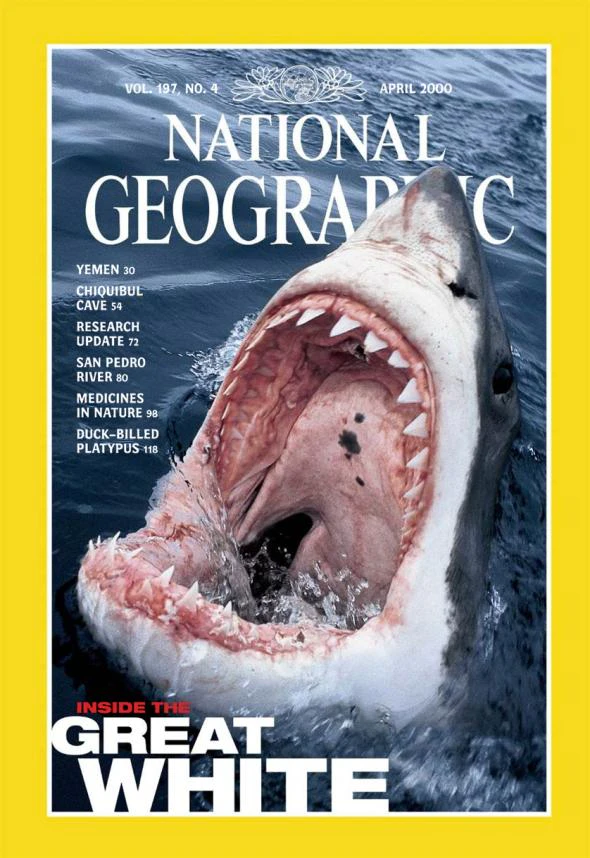 Great White 2000 National Geographic Cover