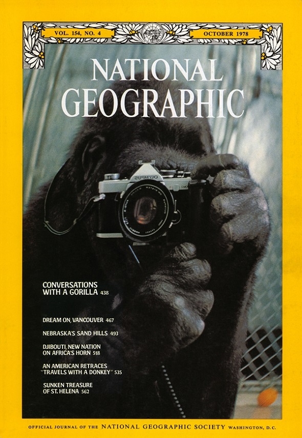 Conversations with a Gorilla, Vol 154 No. 4 - October 1978 National Geographic Cover