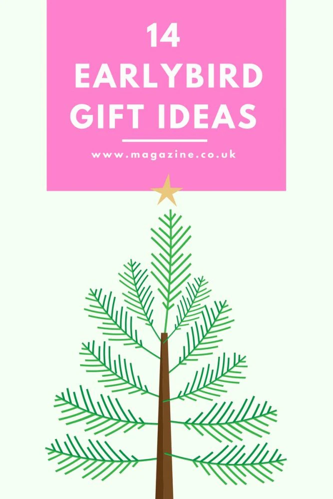 earlybird gift ideas christmas 2017