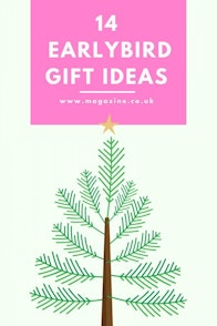 earlybird gift ideas christmas 2017