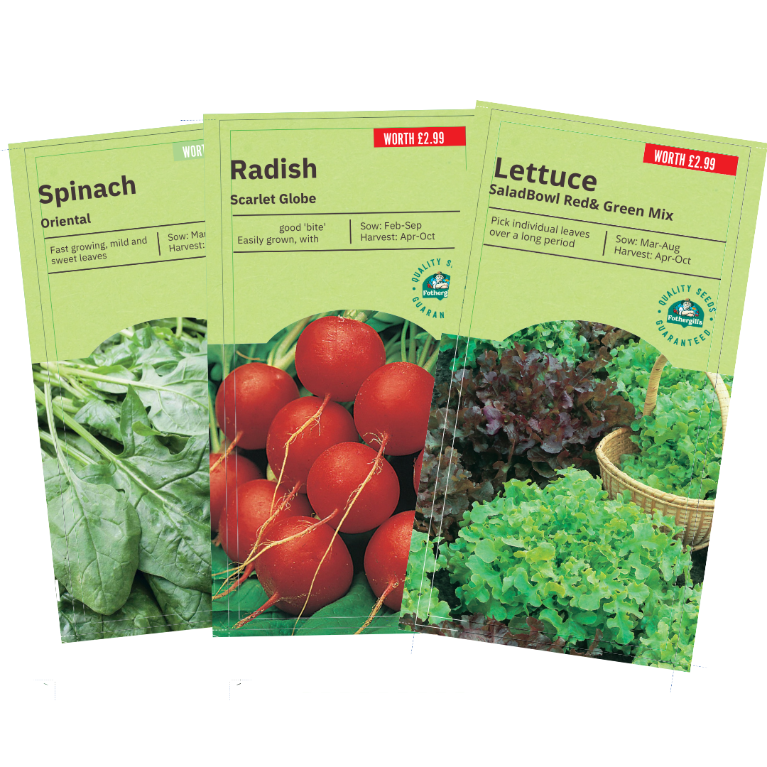 Kitchen Garden Free Gift