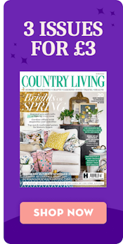 Country Living 3 issues for £3